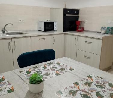 Taga House | Vila Sabo- Casa de vacanta cu lac de pescuit si ciubar cu hidromasaj
