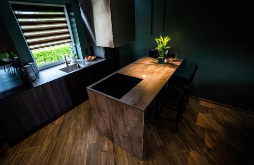 Klaipeda District Municipality Villa | Vila Smiltynė ant ežero kranto