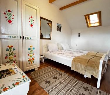 Hateg Villa | Vila SOFIA