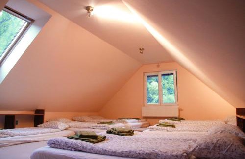 Mikulovice Villa | Vila u lesa - Mikulovice