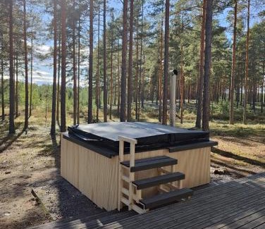 Loimaa Villa | Villa Alex