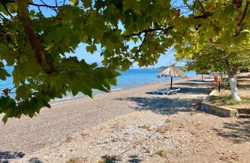 Molos-Agios Konstantinos Villa | Villa Amatheia, Beachfront