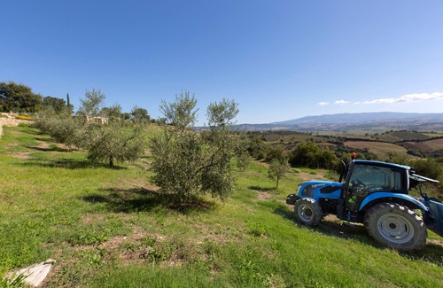 Campagnatico Villa | Villa Ambretta with Private Swimming Pool, Garden and Barbecue