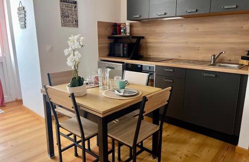 Barcelonnette Apartment | Villa Anita -centre ville -parking privé -wifi