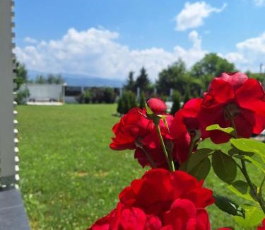 Sarajevo Villa | Villa Arkado