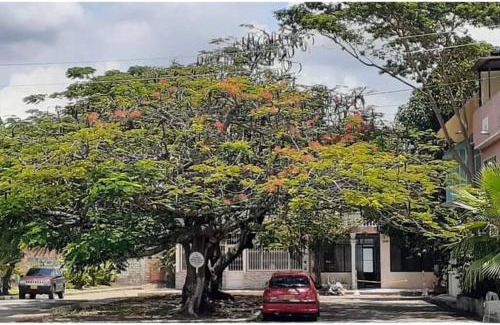 Ricaurte Apartment | Villa Aurora