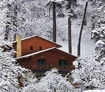 Bakuriani Villa | Villa B Barleon-Bakuriani