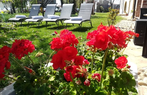 Castelletto Stura Villa | VILLA BOTTERA whit Jacuzzi in the garden from LANGHE/ALBA and the ALPI