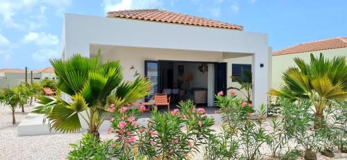 Marie Pampoen Villa | Villa Cabana Mambo Beach