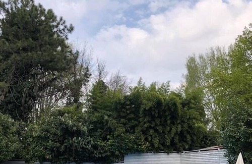 Quistello Villa | Villa Camilla. Prestigious villa in the quiet, lush Po Valley