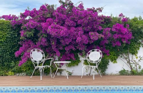 Les Palmeres Villa | Villa Can Llompart Port de Pollensa