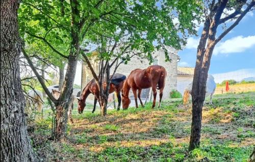 Divajeu Villa | Villa charmante à Divajeu avec piscine privée