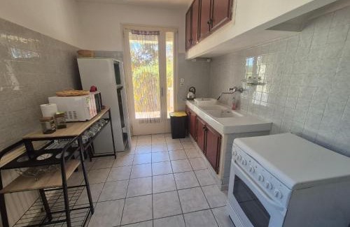 Palau-del-Vidre Villa | Villa climatisée avec grand jardin, animaux admis - FR-1-776-138