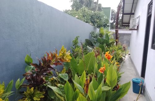 Thiranagama House | Villa Conch by Om