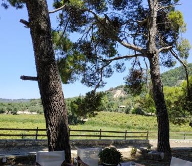 Zakynthos Town Villa | Villa Conifera