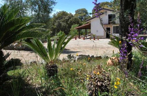 Itri House | VILLA CYCAS relax tra mare e natura