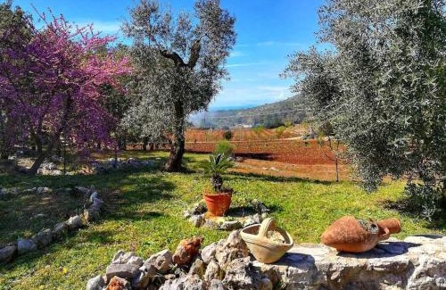 Itri House | VILLA CYCAS relax tra mare e natura