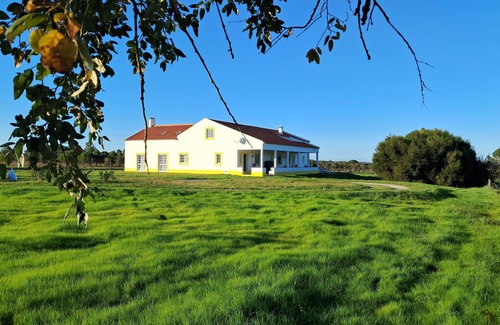 Grandola Villa | Villa das Oliveiras
