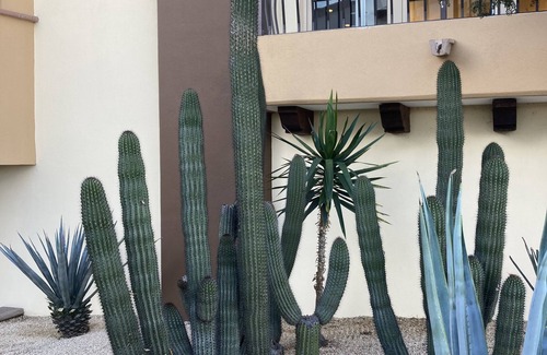 Los Cangrejos II y III Apartment | Villa del Arco Beach Resort and Spa, Cabo San Lucas Baja California Sur, Mexico