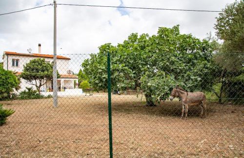 Sassari House | Villa del Lupo