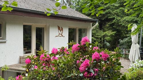 Nisramont House | Villa des Grues à Filly