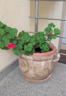 Baska Voda Apartment | Villa DM