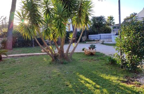 Selva di Fasano Apartment | Villa don peppe