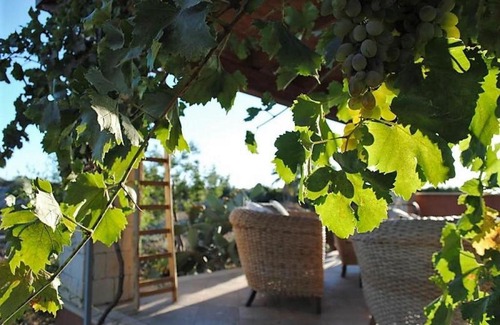Modica House | Villa Donna Lena