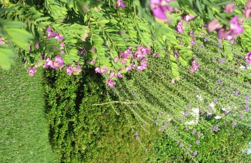 Modica House | Villa Donna Lena
