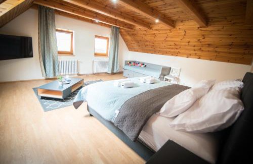 Myto pod Dumbierom House | Villa Ďumbierka - B&B, wellness, brewery, ebikes