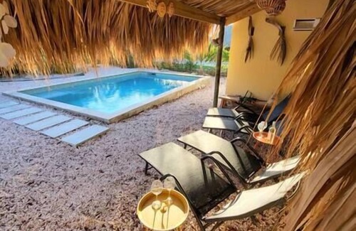 Grote Berg Villa | Villa Dushi Arembos with private pool and 7 seater car