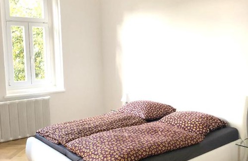 Lazne Kynzvart Apartment | Villa Elisabeth