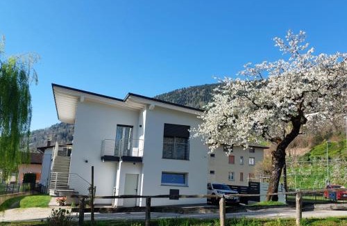 Susa Apartment | Villa Elisabetta