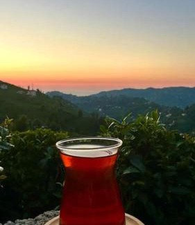 Cayeli House | Villa Emir