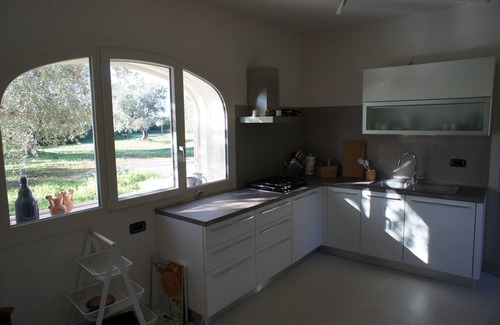 Manduria Villa | Villa Felline in the middle of 12,000 m² olive grove and pool, quiet location.
