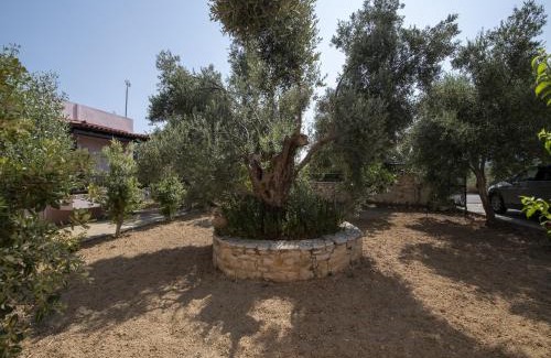 Asteri House | Villa in Crete near Beach and Olive Groves