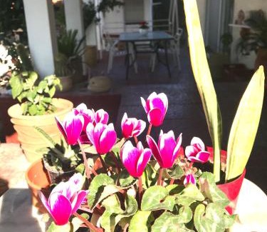 Agios Adrianos House | Villa Ioanna