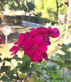 Agios Adrianos House | Villa Ioanna