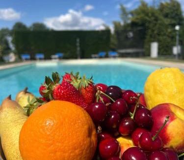 Pagnano Villa | Villa Isabel - Venice Retreat with Pool