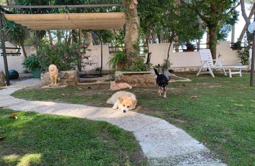 Grosseto Apartment | Villa Isabella