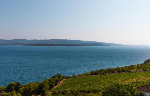 Murvica Villa | Villa Kruna with breathtaking view