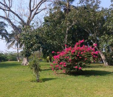 La Antigua Villa | Villa La Antigua