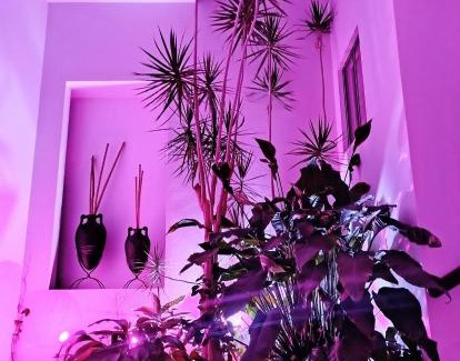 Jimenez Villa | Villa La Floresta Alojamiento Exclusivo 10 Personas Alberca Templada