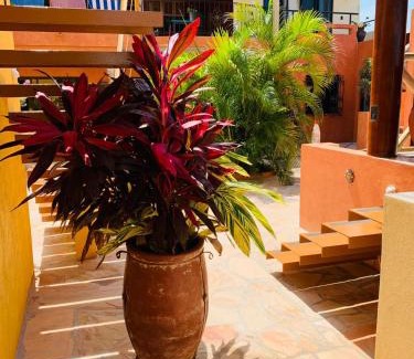 Barra de Navidad House | Villa La Joya