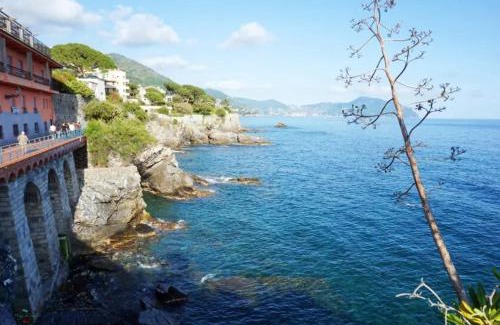 Sant'Ilario Apartment | Villa La Mamounia