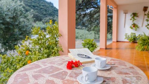 Priego de Cordoba House | Villa la Quinta Priego de Córdoba by Ruralidays