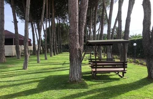 Canicatti Villa | Villa Laoconte piscina, jacuzzi e biliardo