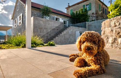 Tomicici Villa | Villa Lastva