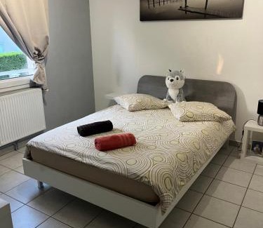 Andrezieux-Boutheon Villa | Villa le jasmin très calme