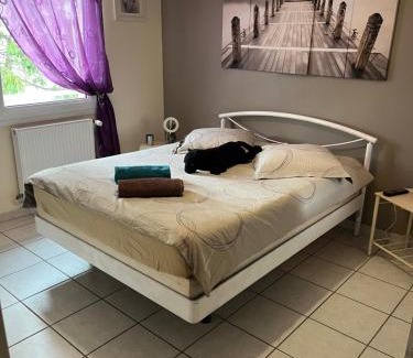 Andrezieux-Boutheon Villa | Villa le jasmin très calme